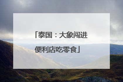 泰国：大象闯进便利店吃零食