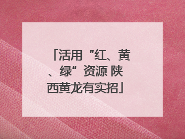 活用“红、黄、绿”资源 陕西黄龙有实招