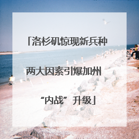 洛杉矶惊现新兵种 两大因素引爆加州“内战”升级