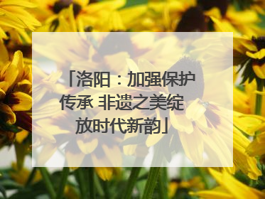 洛阳：加强保护传承 非遗之美绽放时代新韵