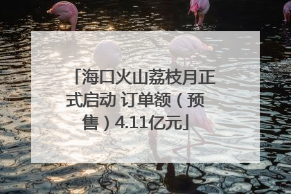 海口火山荔枝月正式启动 订单额（预售）4.11亿元
