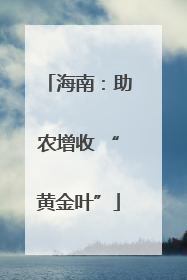 海南：助农增收 “黄金叶”