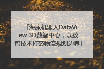 海康机器人DataView 3D数智中心，以数智技术打破物流规划边界