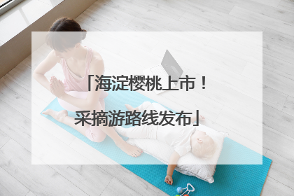 海淀樱桃上市！采摘游路线发布