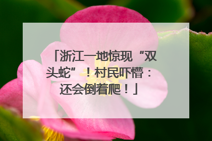 浙江一地惊现“双头蛇”！村民吓懵：还会倒着爬！