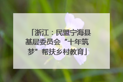 浙江：民盟宁海县基层委员会“十年筑梦”帮扶乡村教育