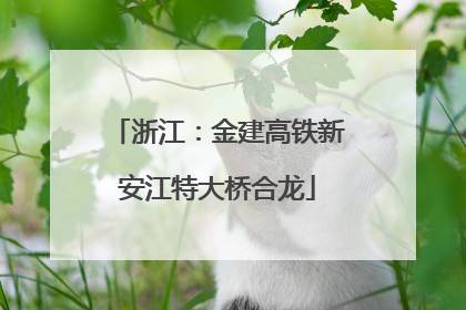 浙江：金建高铁新安江特大桥合龙