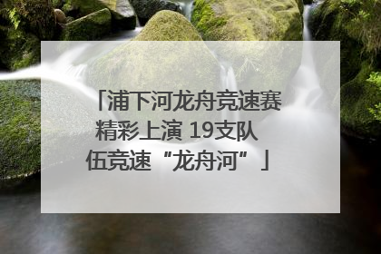 浦下河龙舟竞速赛精彩上演 19支队伍竞速“龙舟河”