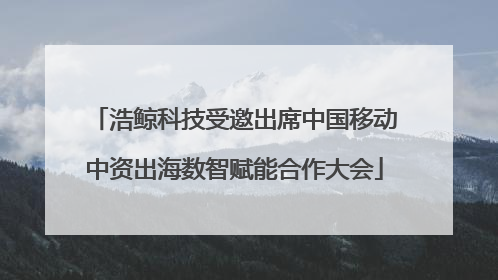 浩鲸科技受邀出席中国移动中资出海数智赋能合作大会