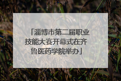 淄博市第二届职业技能大赛开幕式在齐鲁医药学院举办