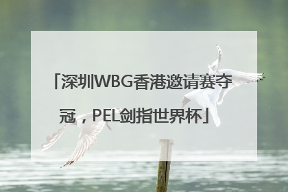 深圳WBG香港邀请赛夺冠，PEL剑指世界杯