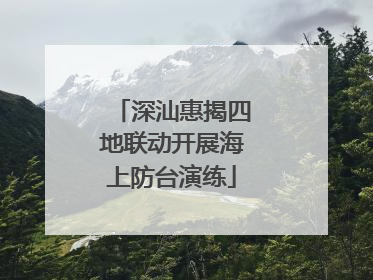 深汕惠揭四地联动开展海上防台演练