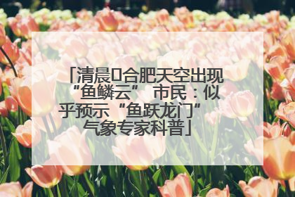 清晨﻿合肥天空出现“鱼鳞云” 市民：似乎预示“鱼跃龙门” 气象专家科普