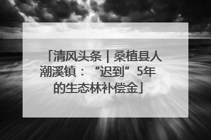 清风头条｜桑植县人潮溪镇：“迟到”5年的生态林补偿金