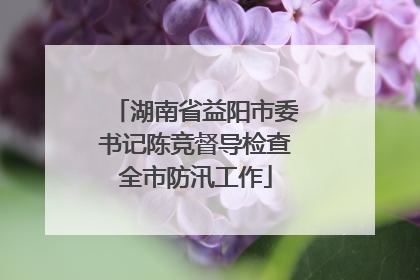湖南省益阳市委书记陈竞督导检查全市防汛工作
