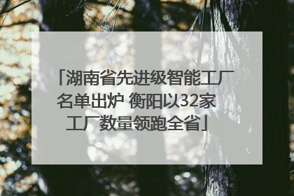 湖南省先进级智能工厂名单出炉 衡阳以32家工厂数量领跑全省