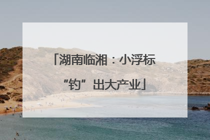 湖南临湘：小浮标“钓”出大产业