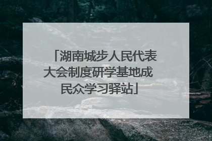 湖南城步人民代表大会制度研学基地成民众学习驿站