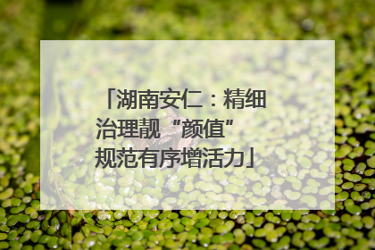 湖南安仁：精细治理靓“颜值” 规范有序增活力