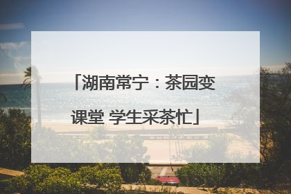 湖南常宁：茶园变课堂 学生采茶忙