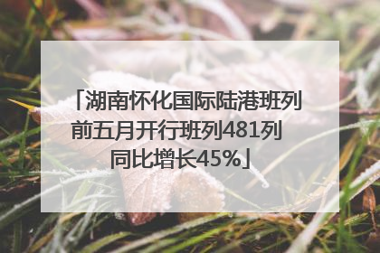 湖南怀化国际陆港班列前五月开行班列481列 同比增长45%
