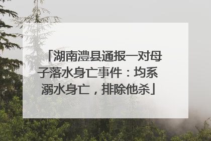 湖南澧县通报一对母子落水身亡事件：均系溺水身亡，排除他杀