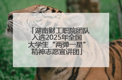 湖南财工职院团队入选2025年全国大学生“两弹一星”精神志愿宣讲团