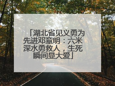 湖北省见义勇为先进邓章明：六米深水勇救人，生死瞬间显大爱