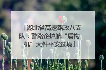 湖北省高速路政八支队：警路企护航“盾构机”大件平安过境