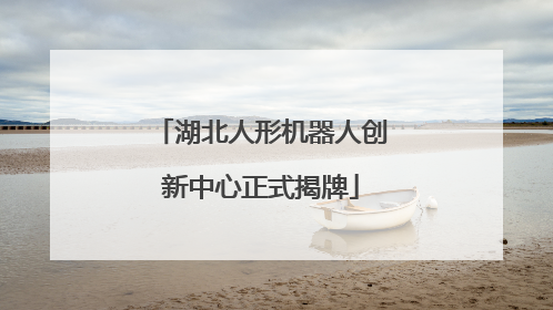 湖北人形机器人创新中心正式揭牌