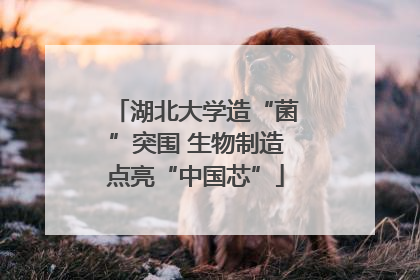 湖北大学造“菌”突围 生物制造点亮“中国芯”