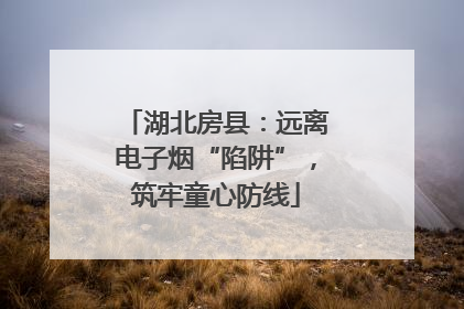 湖北房县：远离电子烟“陷阱”，筑牢童心防线