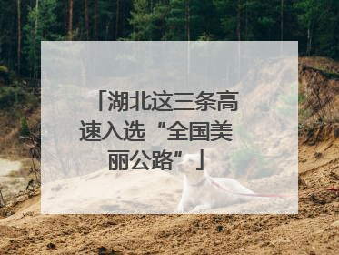 湖北这三条高速入选“全国美丽公路”