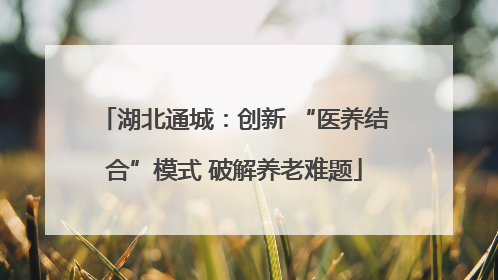 湖北通城：创新 “医养结合”模式 破解养老难题