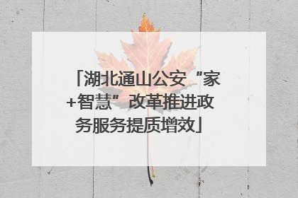 湖北通山公安“家+智慧”改革推进政务服务提质增效