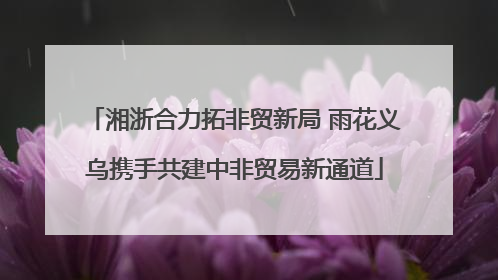 湘浙合力拓非贸新局 雨花义乌携手共建中非贸易新通道