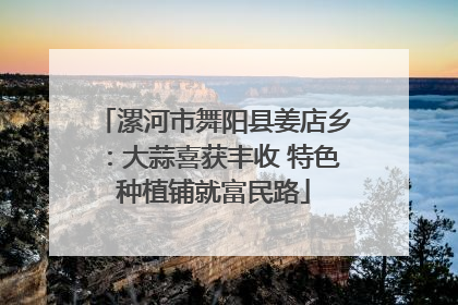漯河市舞阳县姜店乡：大蒜喜获丰收 特色种植铺就富民路