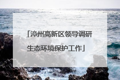 漳州高新区领导调研生态环境保护工作