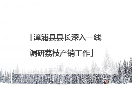 漳浦县县长深入一线调研荔枝产销工作