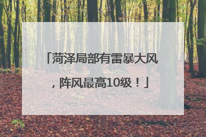 菏泽局部有雷暴大风，阵风最高10级！