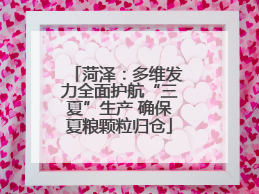 菏泽：多维发力全面护航“三夏”生产 确保夏粮颗粒归仓