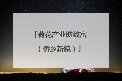 荷花产业助致富（侨乡新貌）