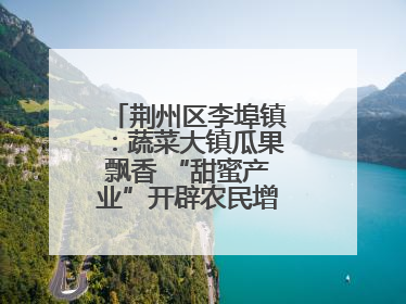 荆州区李埠镇：蔬菜大镇瓜果飘香 “甜蜜产业”开辟农民增收“新赛道”