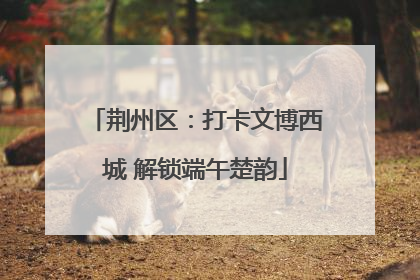荆州区：打卡文博西城 解锁端午楚韵