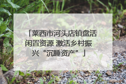 莱西市河头店镇盘活闲置资源 激活乡村振兴“沉睡资产”