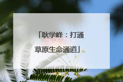 耿学峰：打通草原生命通道