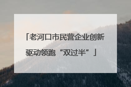老河口市民营企业创新驱动领跑“双过半”