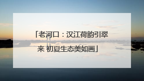 老河口：汉江荷韵引翠来 初夏生态美如画