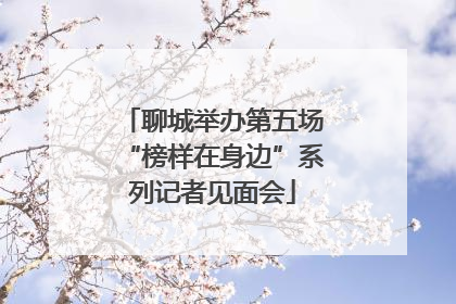 聊城举办第五场“榜样在身边”系列记者见面会
