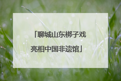 聊城山东梆子戏亮相中国非遗馆